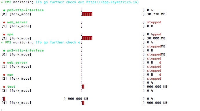 pm2-monit